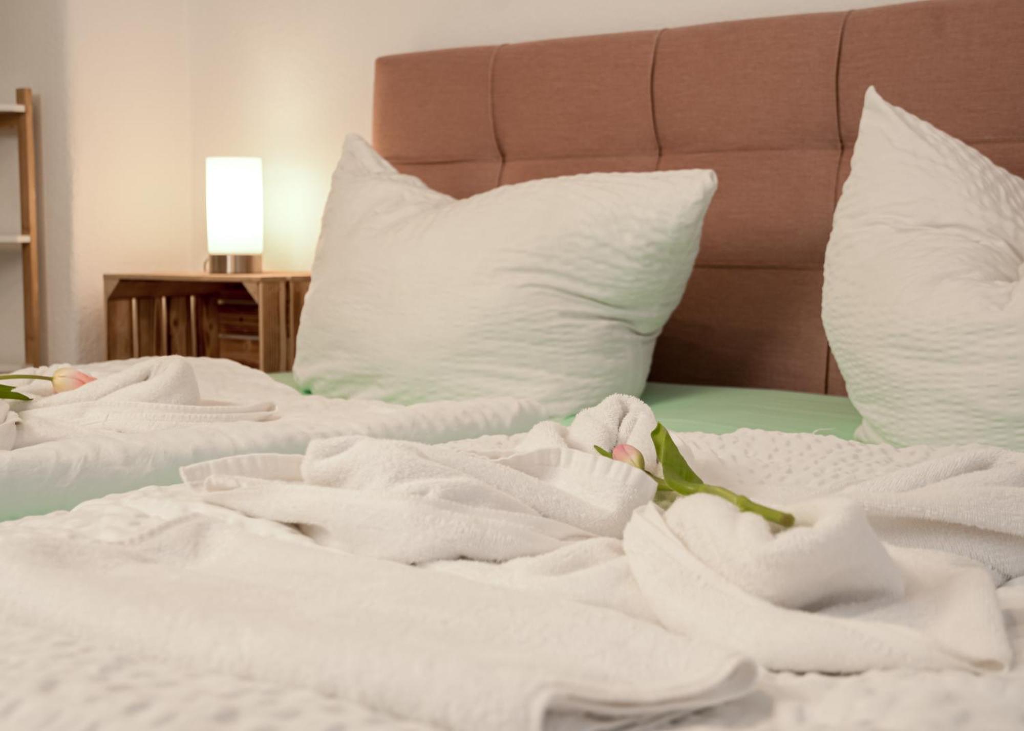 Апартаменты Apartmenthaus Rankestrasse 4 Дрезден